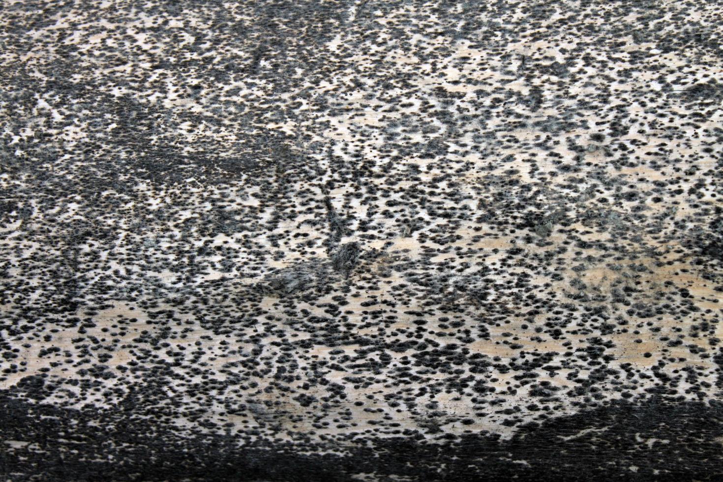 Large Stone Marble surface Texture photo