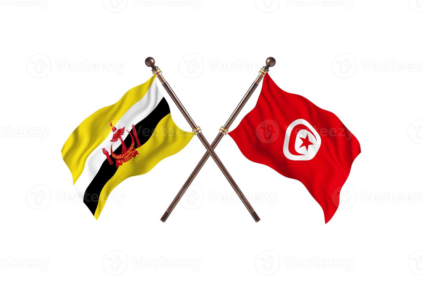 Brunei versus Tunisia Two Country Flags photo