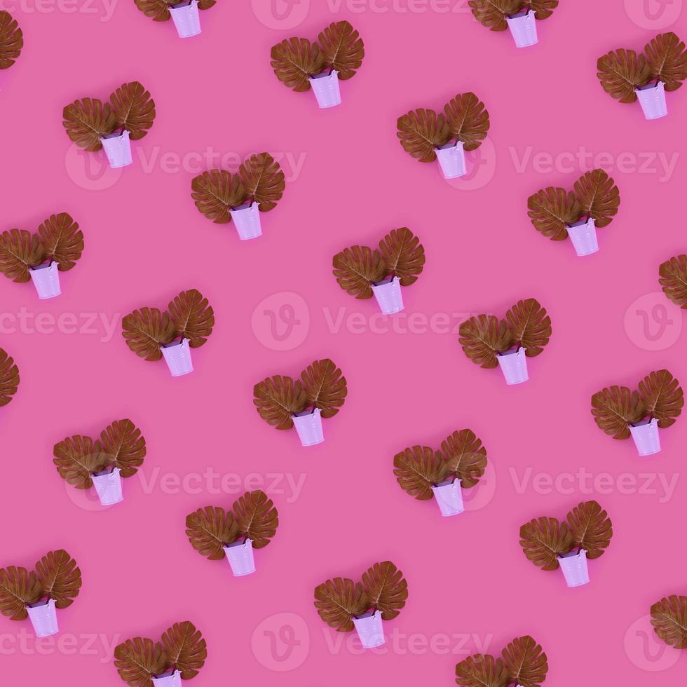Tropical palm monstera leaves lies in a pastel pails on a colored background. Flat lay trendy minimal pattern. Top view photo