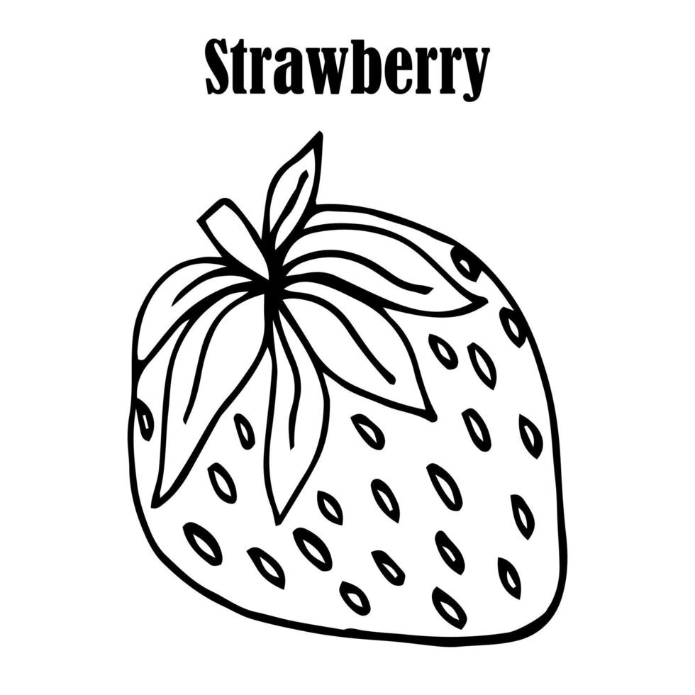 Strawberry hand drawn outline doodle icon. Vector sketch illustration of healthy berry - fresh raw strawberry for print, web, mobile and infographics isolated on white background.