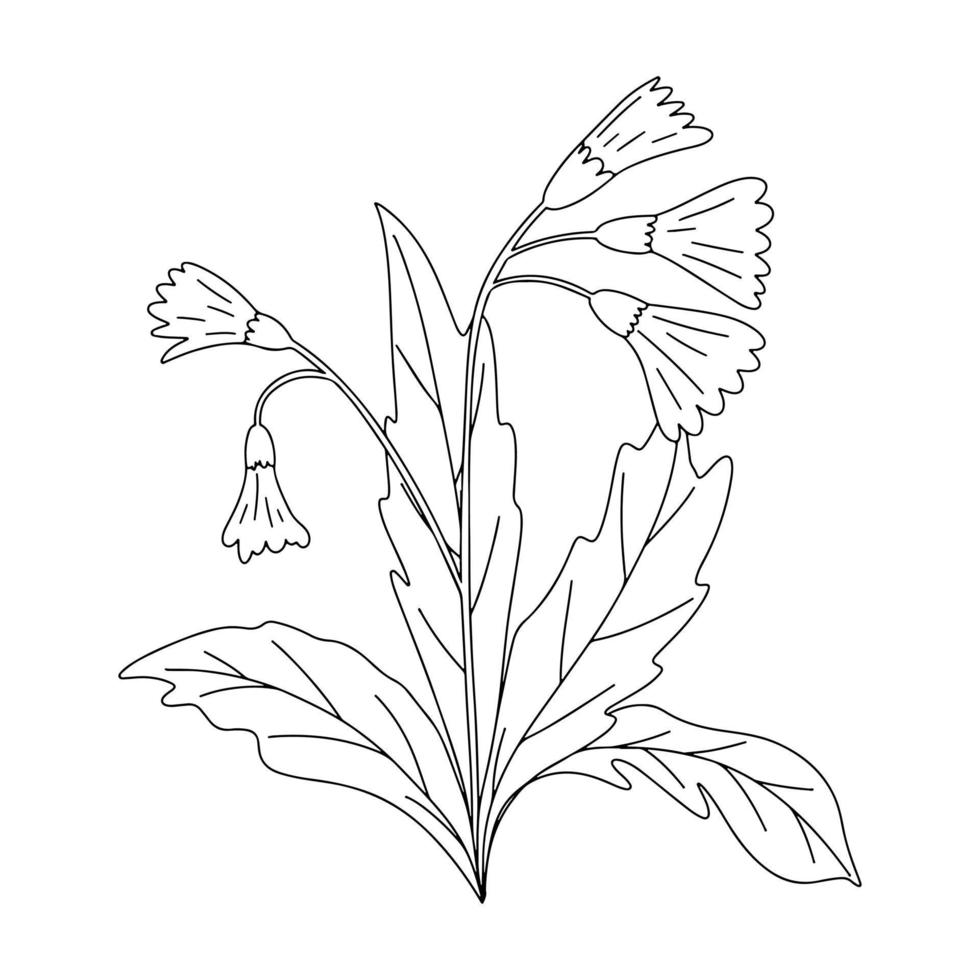 Hand drawn vector illustration of blooming meadow wildflower. Primula veris in doodle style. Logo design element for greeting cards, invitations.