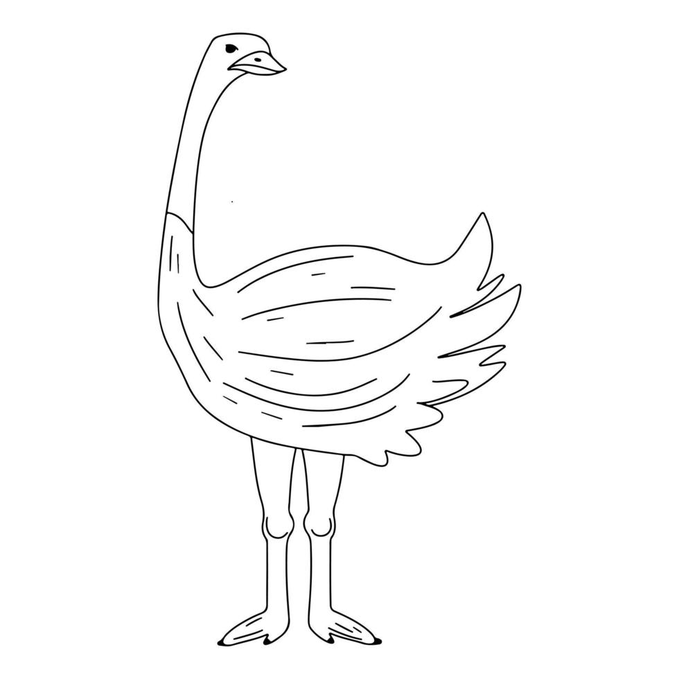 Adorable ostrich. Cute bird in hand drawn doodle style. Vector Illustration.