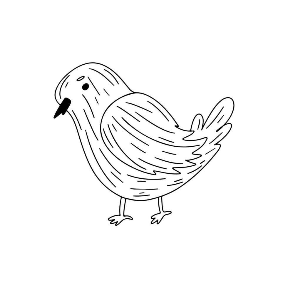 Cute bird in hand drawn doodle style. Vector Illustration.