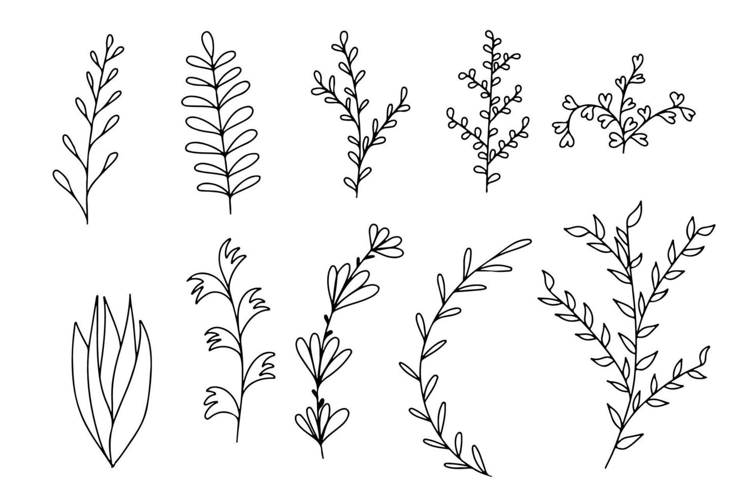 Botanical plants in hand drawn doodle style. Vector illustration isolated on white background. Collection of different twigs with leaves.