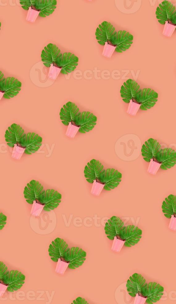 Tropical palm monstera leaves lies in a pastel pails on a colored background. Flat lay trendy minimal pattern. Top view photo