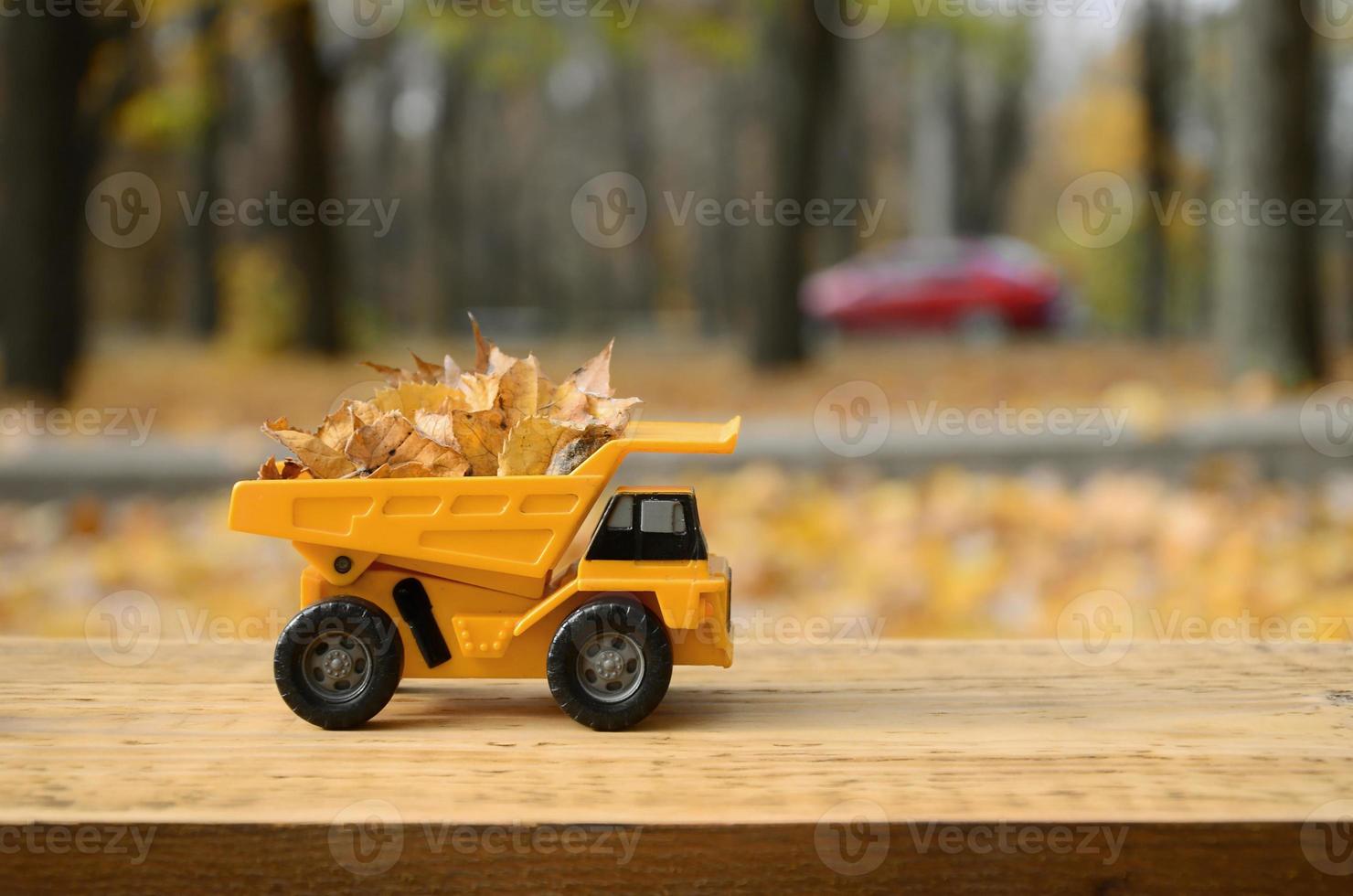 The concept of seasonal harvesting of autumn fallen leaves is depicted in the form of a toy yellow truck loaded with leaves against the background of the autumn park photo