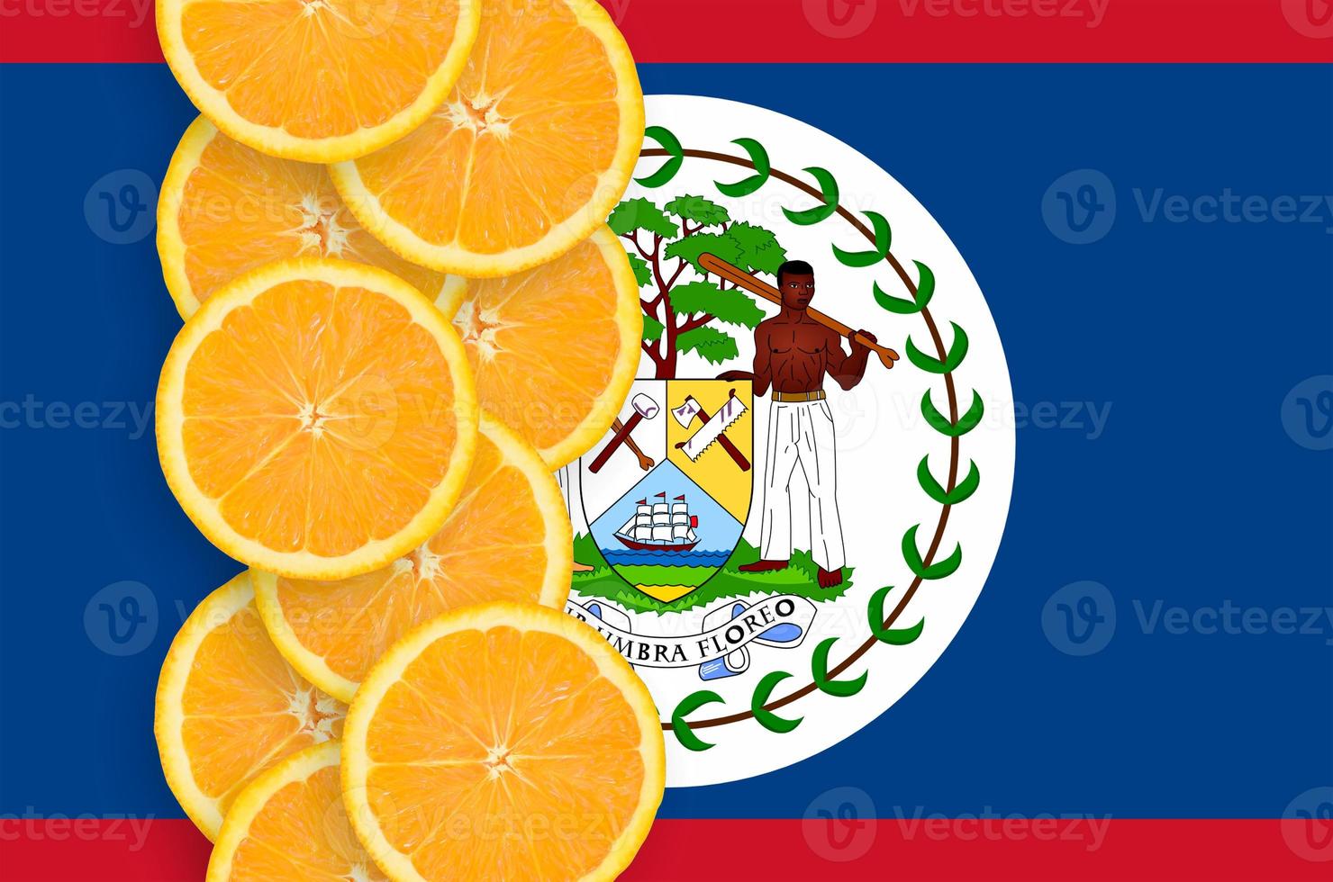 Belize flag and citrus fruit slices vertical row photo