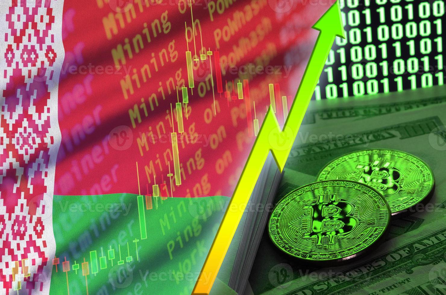 Belarus flag and cryptocurrency growing trend with two bitcoins on dollar bills and binary code display photo