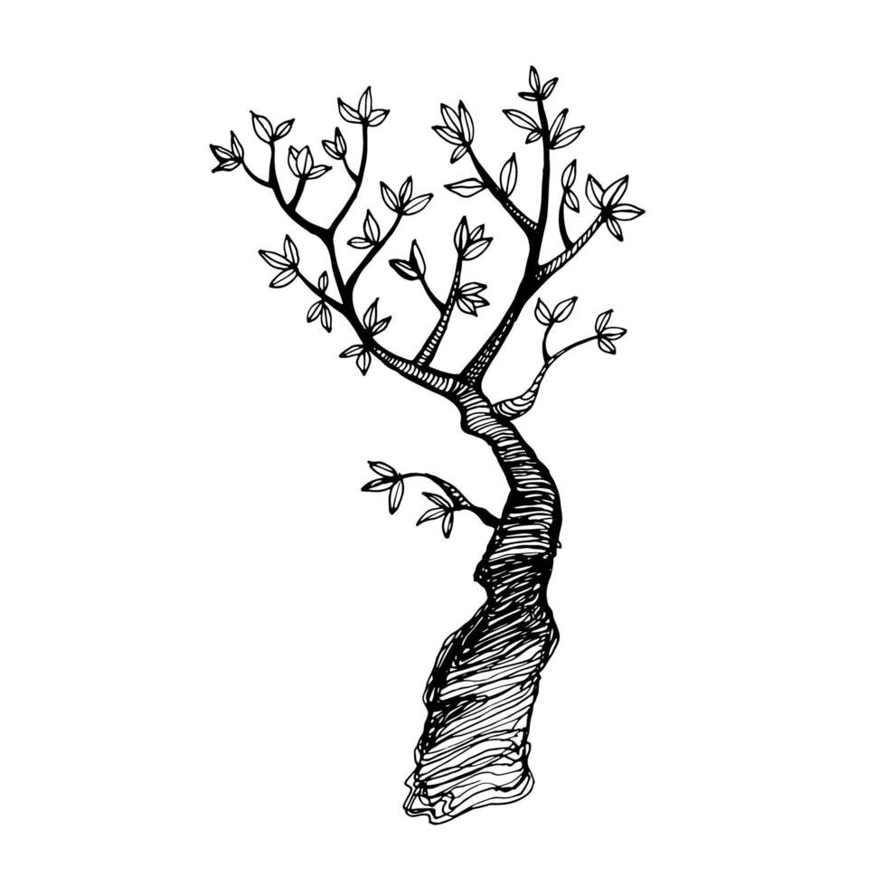 Tree. Line art hand drawn illustration. Black vector sketch isolated on white.