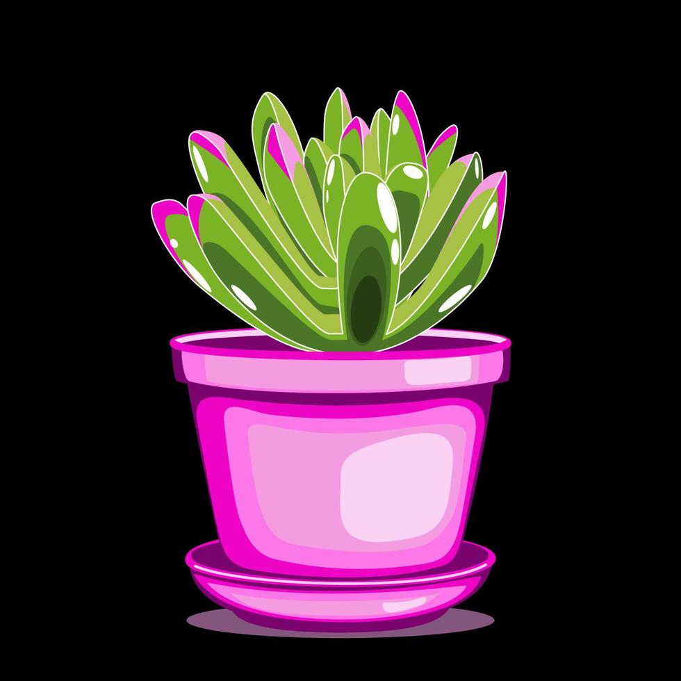 Snow White panda kalanchoe plant in pink clay pot in flat technique vector