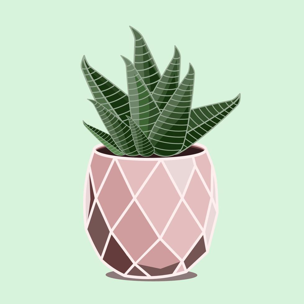 Zebra cactus houseplant in ceramic pot in flat technique vector illustration