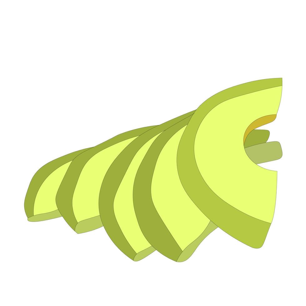 Sliced fresh avocado without peel. Vector illustration of healthy vegan food. Cooking healthy, ripe peeled and clean vegetables for the kitchen.