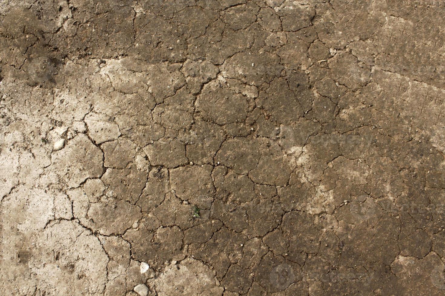 Abstract Grunge mud Texture Background photo