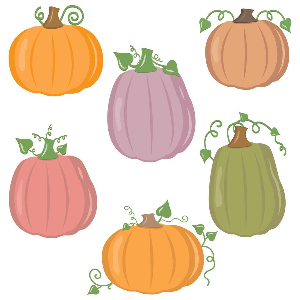 conjunto vectorial de calabazas naranjas aisladas en un fondo blanco. vector