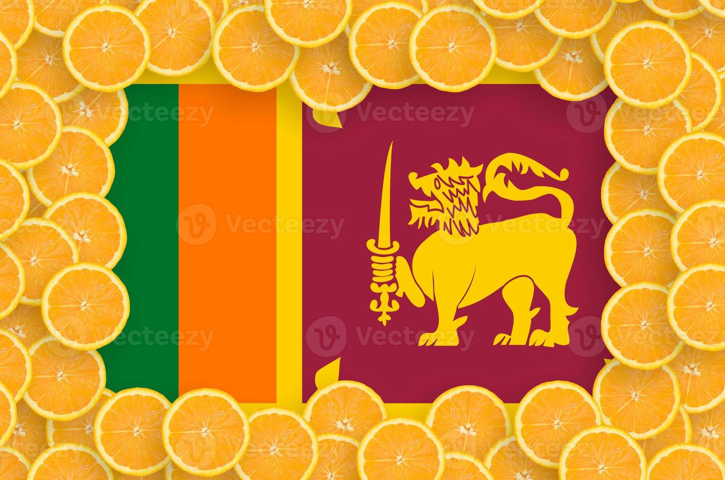 Sri Lanka flag in fresh citrus fruit slices frame photo