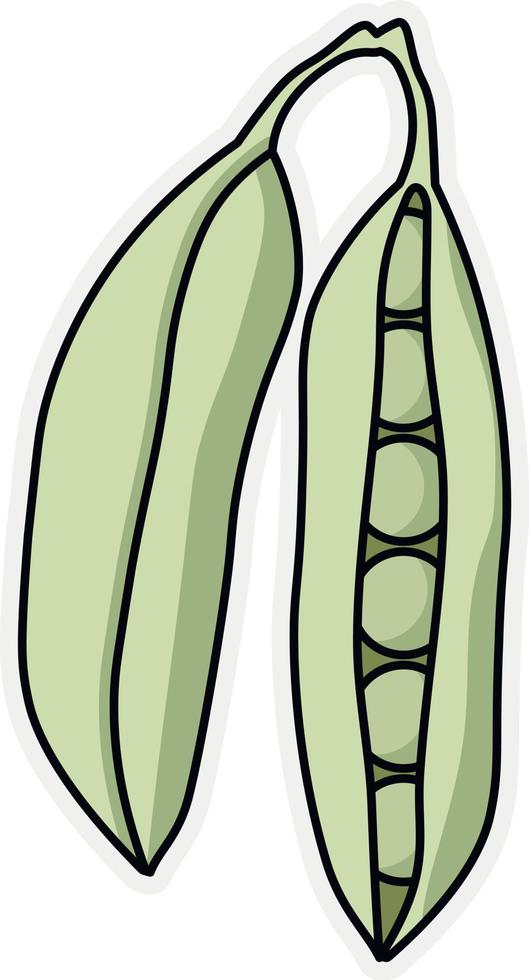 Two pods of fresh green peas vector