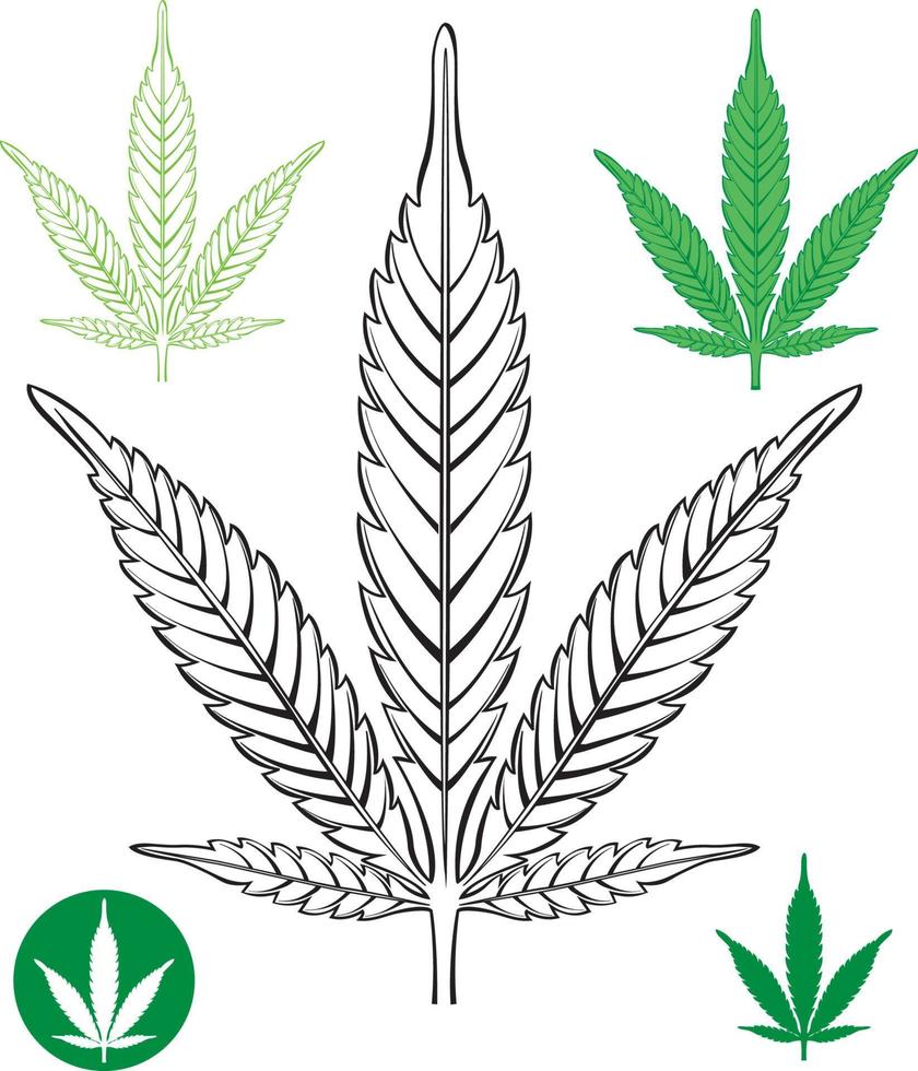 contorno de la hoja de cannabis vector