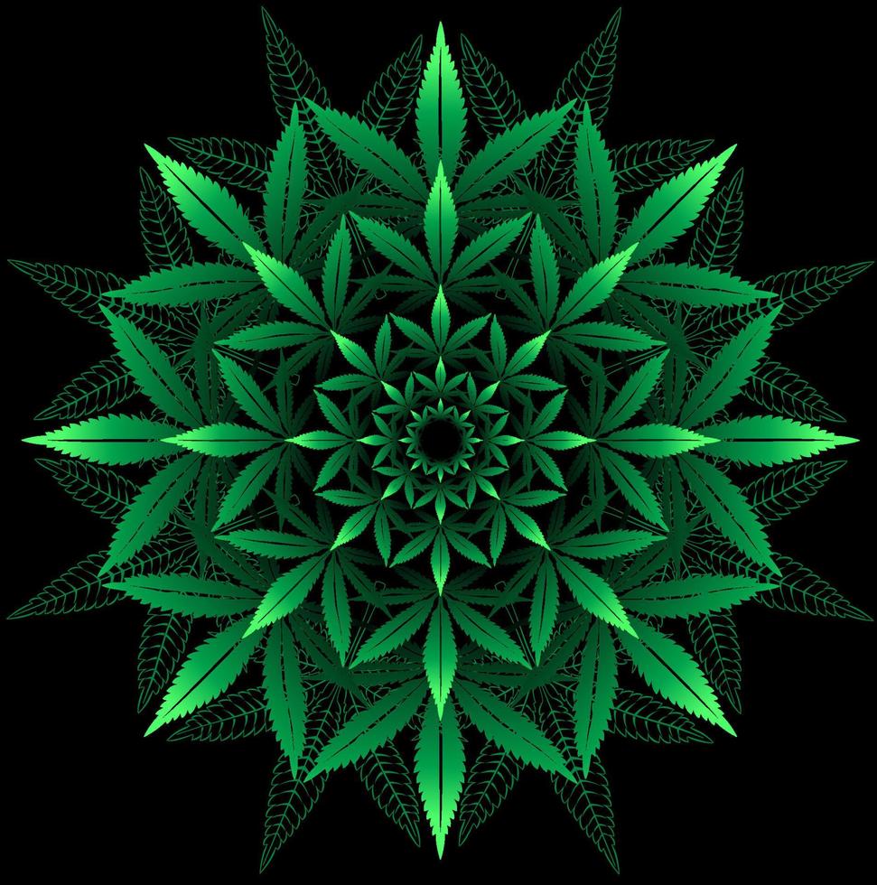 mandala de hoja de cannabis vector