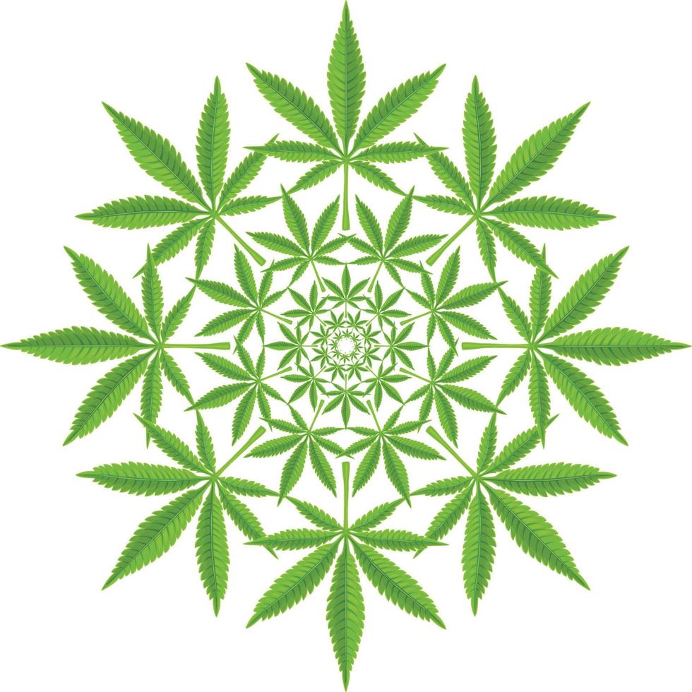 Cannabis outline pattern vector