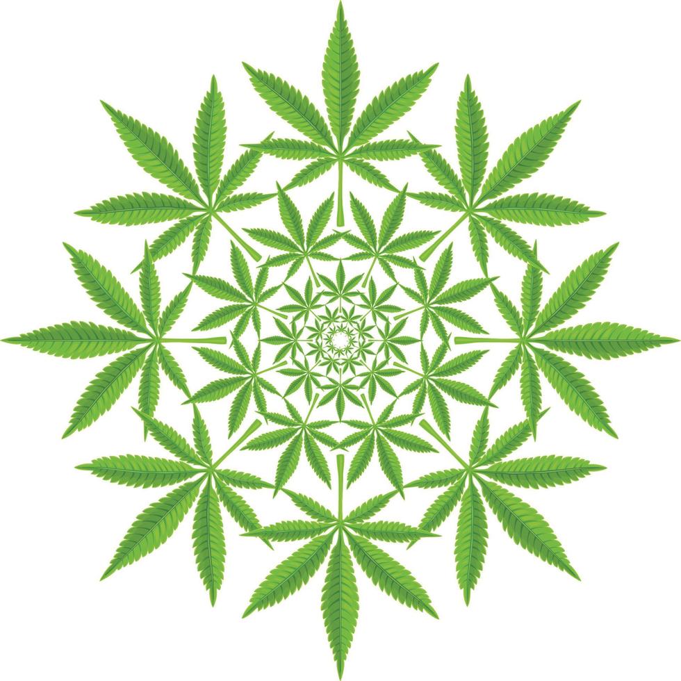 Cannabis outline pattern vector