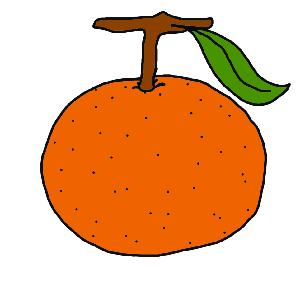 ilustración de fruta naranja png