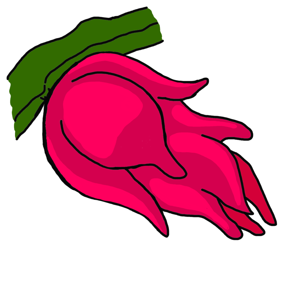 Dragon Fruit Illustration 13994073 PNG