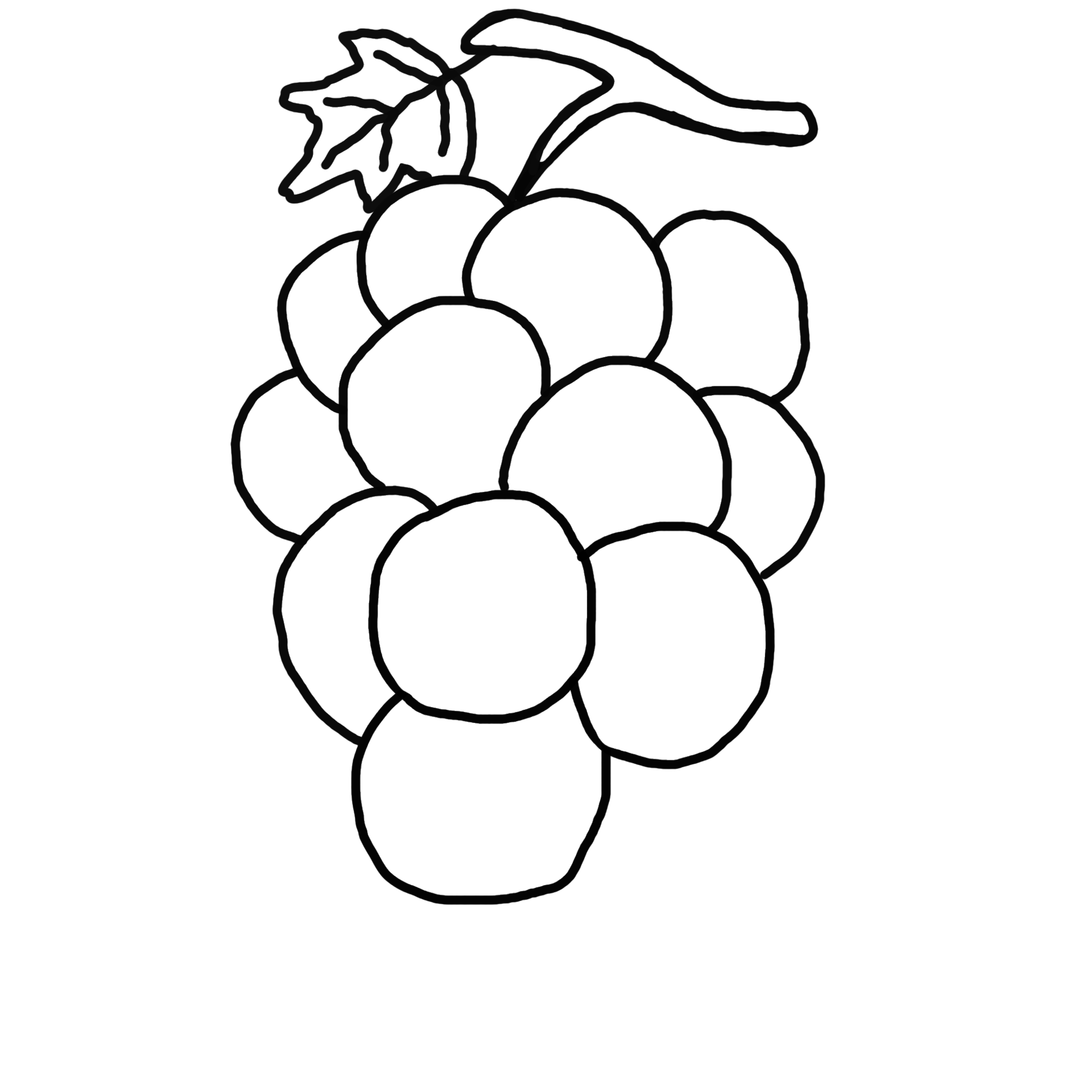 Grape Fruit Line Art 13994093 PNG