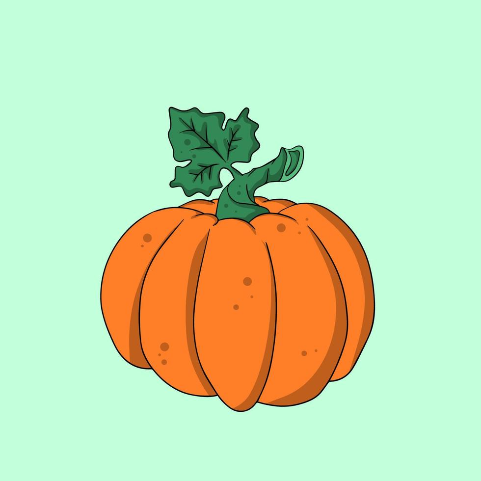 dibujado a mano ilustración de calabaza vector