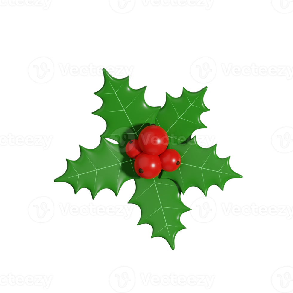 Free 3d Christmas Mistletoe 13995681 PNG with Transparent Background