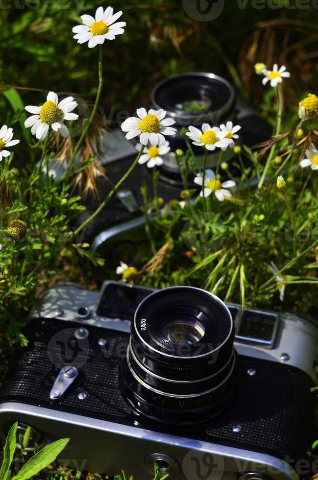 An old photo cameras from mid of 20th century in green field of daises