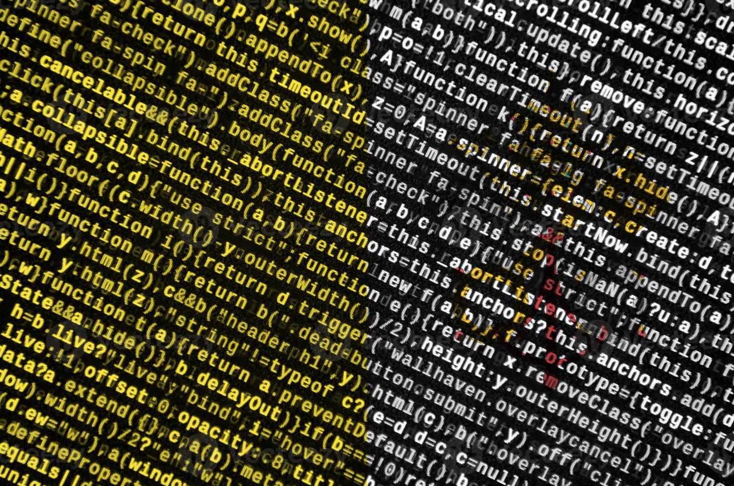 Vatican City State flag is depicted on the screen with the program code. The concept of modern technology and site development photo