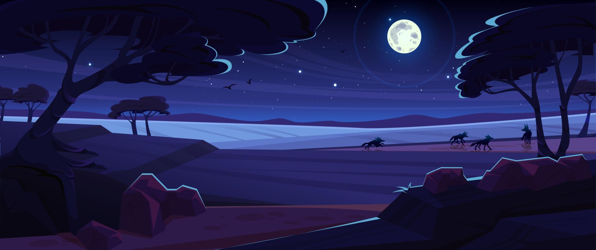 Night savannah landscape african background, scene vector