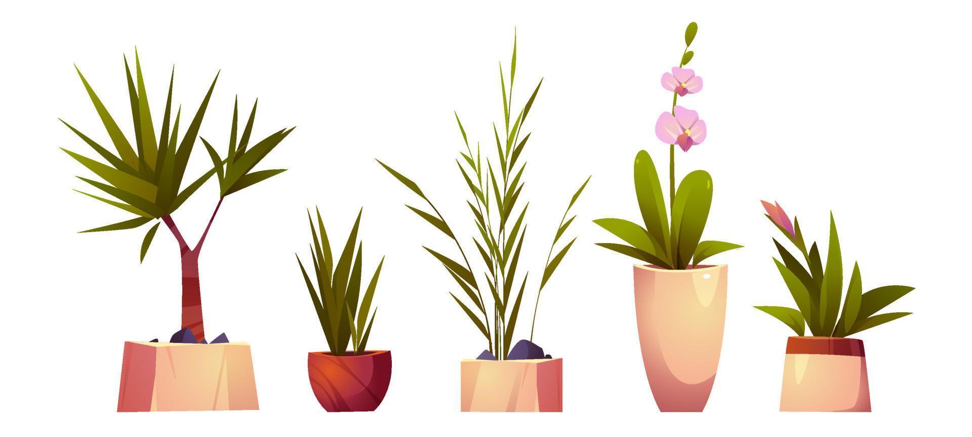 plantas de interior y flores en macetas vector