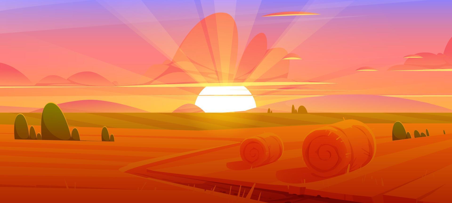 Rural landscape with hay bales on field at sunset vector