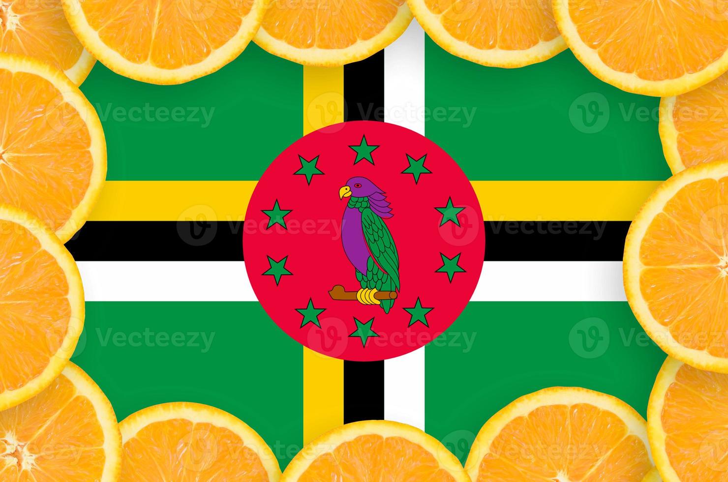 Dominica flag in fresh citrus fruit slices frame photo
