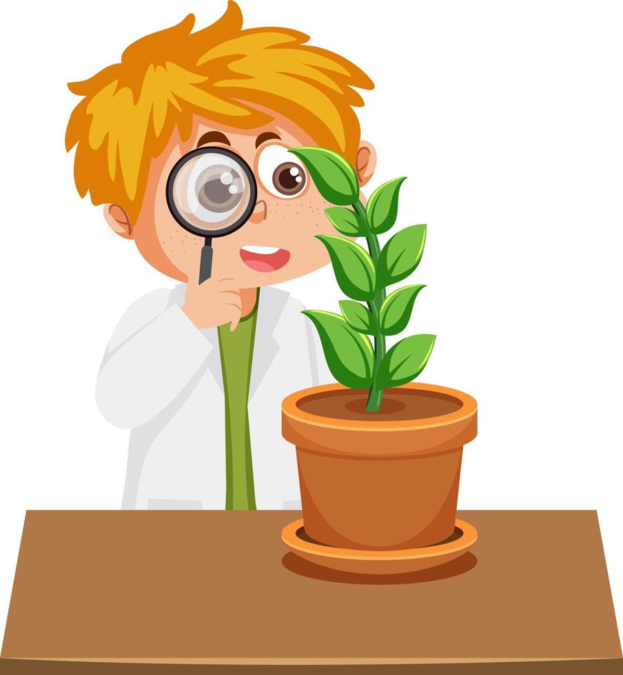 Boy research on a plant using magnifying glass vector