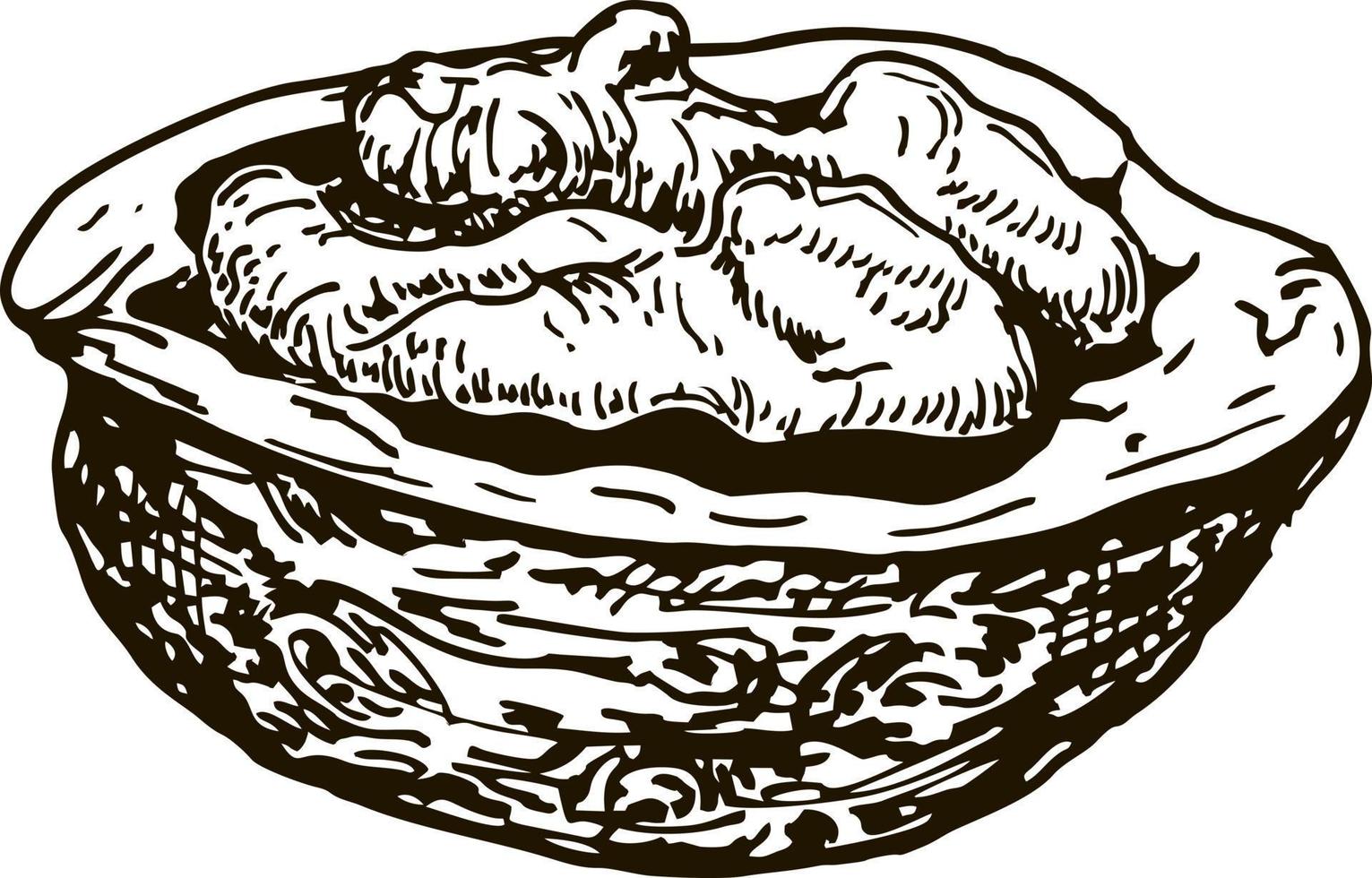 Walnut sketch. Retro style, vector image. Isolate