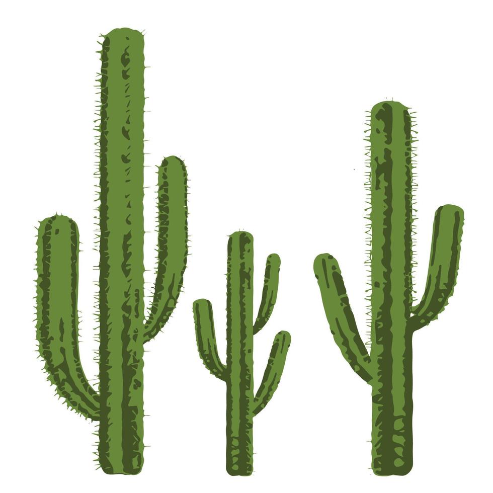 cactus tree desert plant vector design
