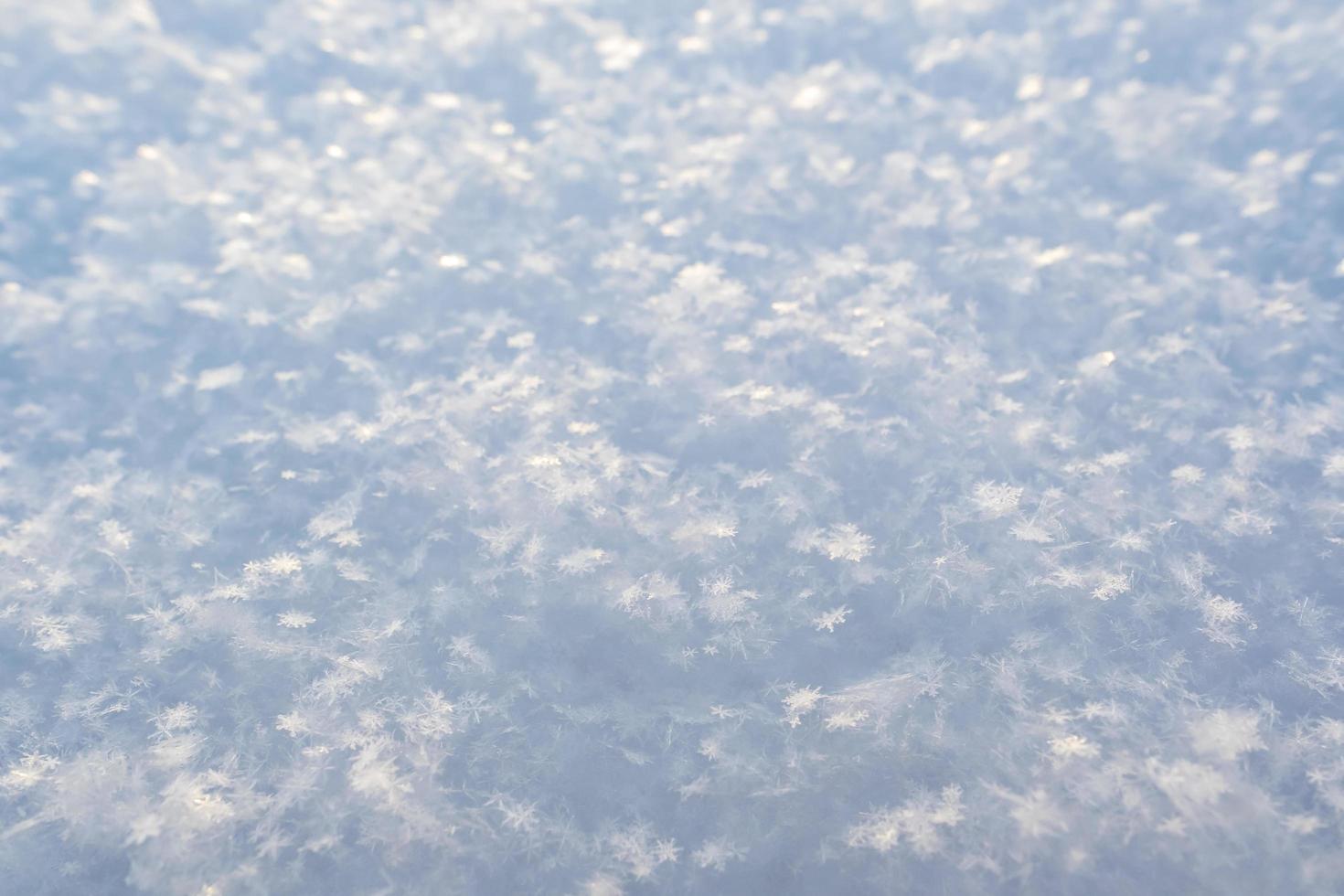 Beautiful crystals of snowflakes glow in the rays of the sun, on fluffy snow, on a frosty day. Copy space. Background. photo