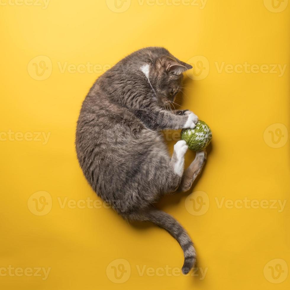 Cat plays with a knitted Christmas ball toy, on a yellow background. Pets lifestyle and entertainment. Top view. photo