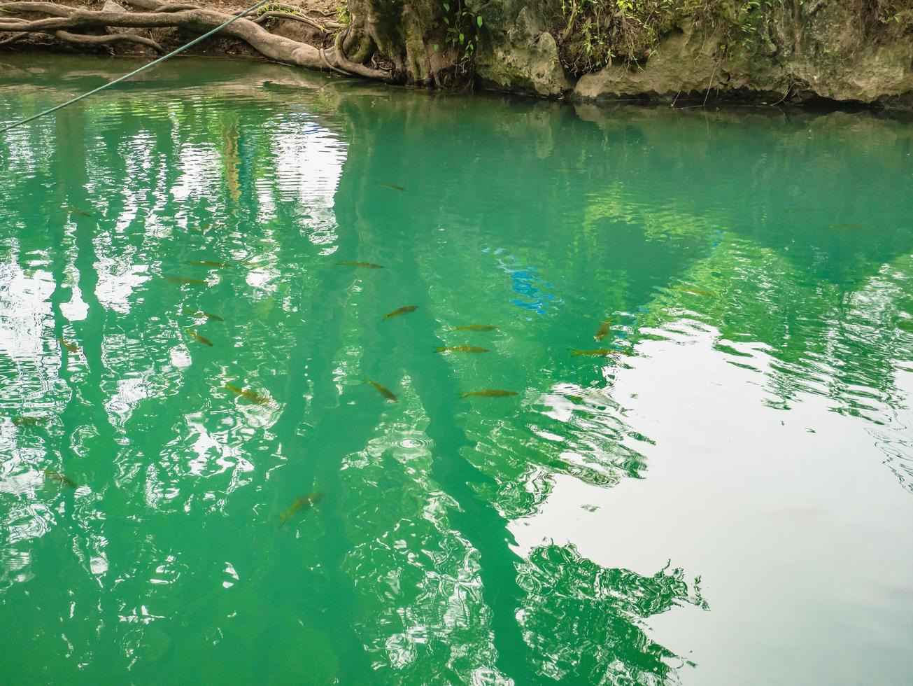 vangvieng.lao-10 de diciembre de 2017. hermosa naturaleza y aguas cristalinas de la laguna azul en la cueva de pukham ciudad de vangvieng lao. ciudad de vangvieng, la famosa ciudad de destino de vacaciones en lao. foto