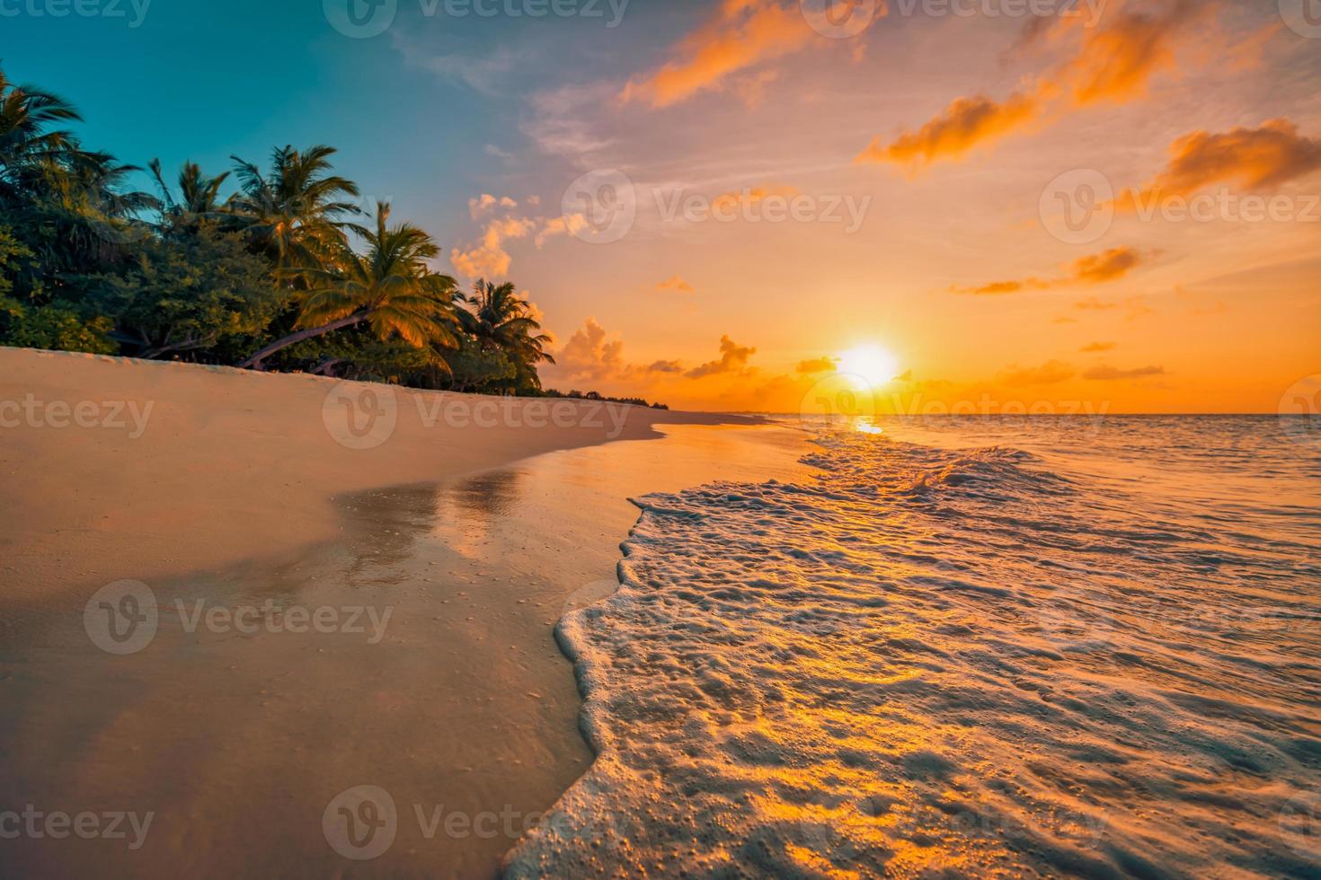 Beautiful panoramic sunset tropical paradise beach. Tranquil summer vacation or holiday landscape. Tropical sunset beach seaside palm calm sea panorama exotic nature view inspirational seascape scenic photo