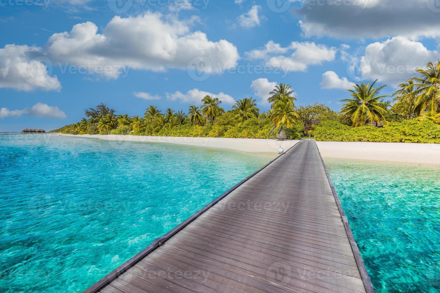 Beautiful tropical Maldives island with beach, exotic sea and coconut palm trees on blue sky for luxury nature holiday vacation background concept. Boost up color processing. Summer travel destination photo