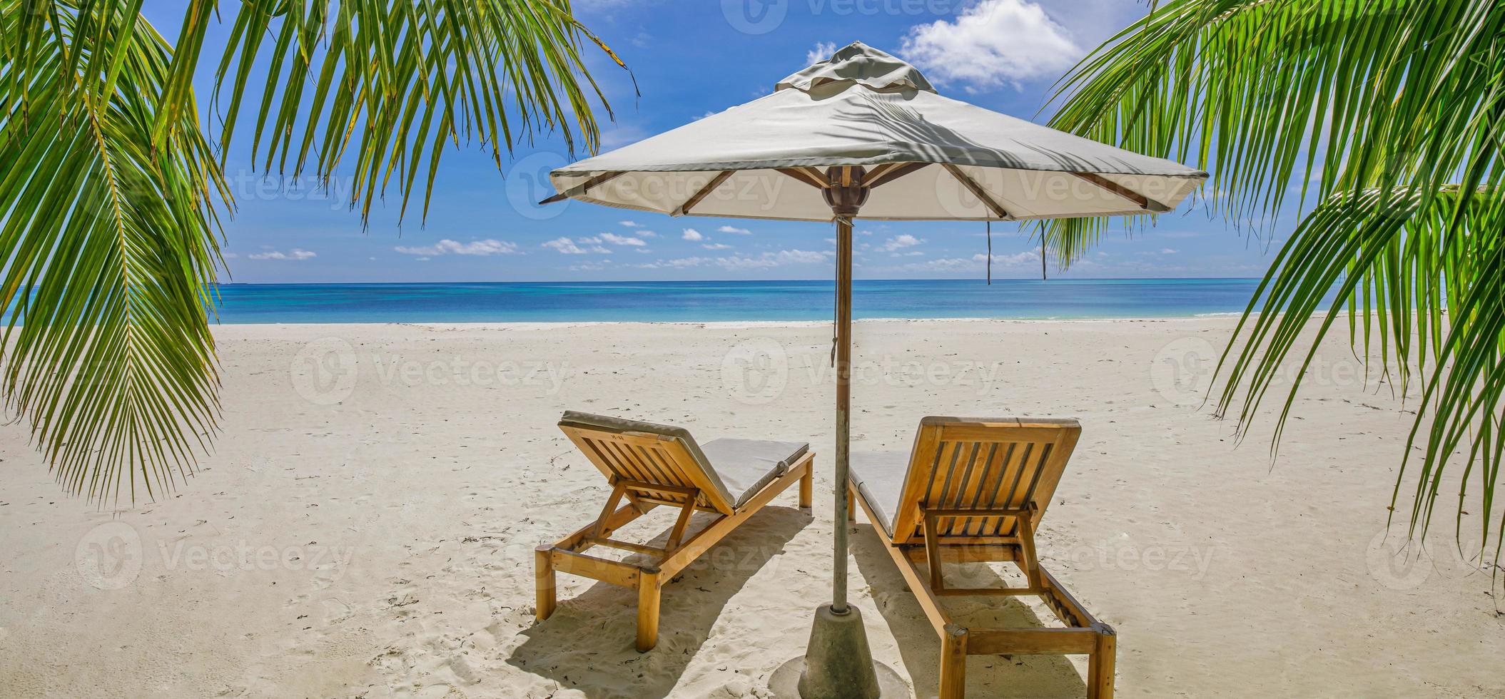 Tropical beach nature as summer landscape with lounge chairs beds palm tree leaves and calm sea for beach banner. Luxury travel landscape, beautiful destination for vacation or holiday. Beach scene photo