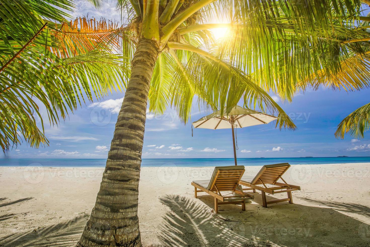 Tropical beach nature as summer landscape with lounge chairs beds palm tree leaves and calm sea for beach banner. Luxury travel landscape, beautiful destination for vacation or holiday. Beach scene photo