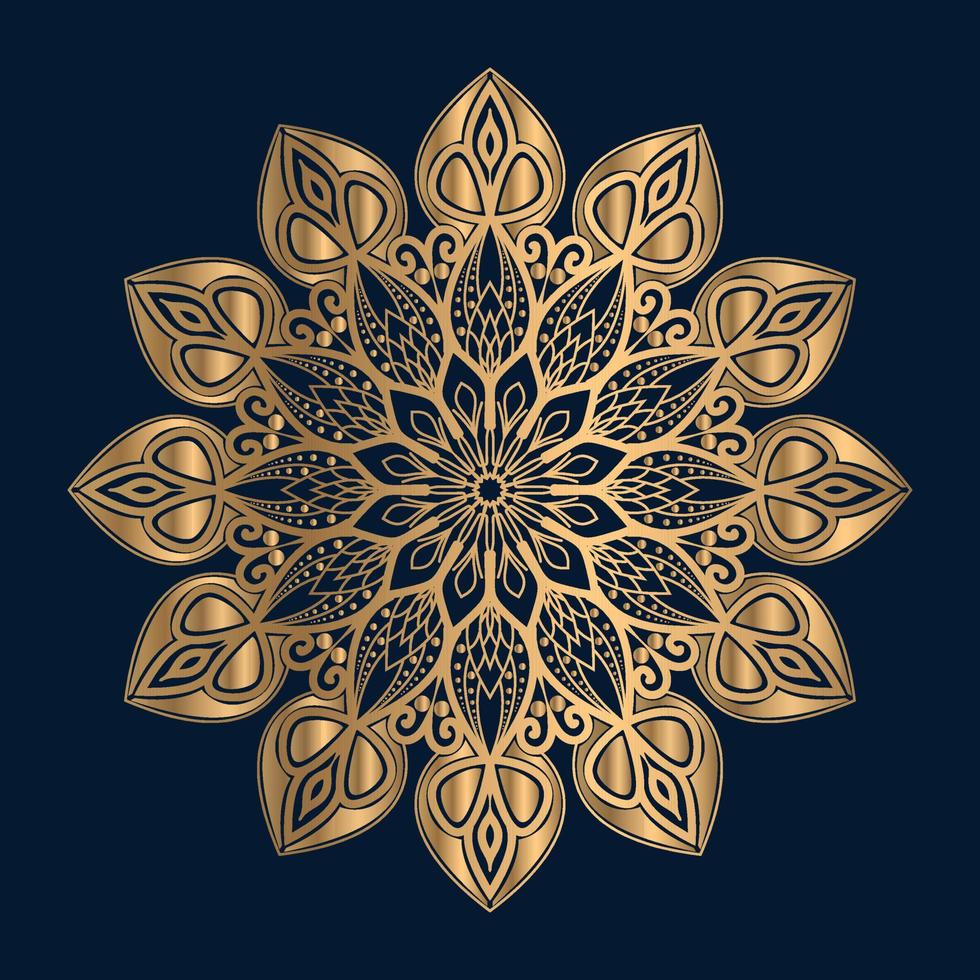 ornaments mandala design vector