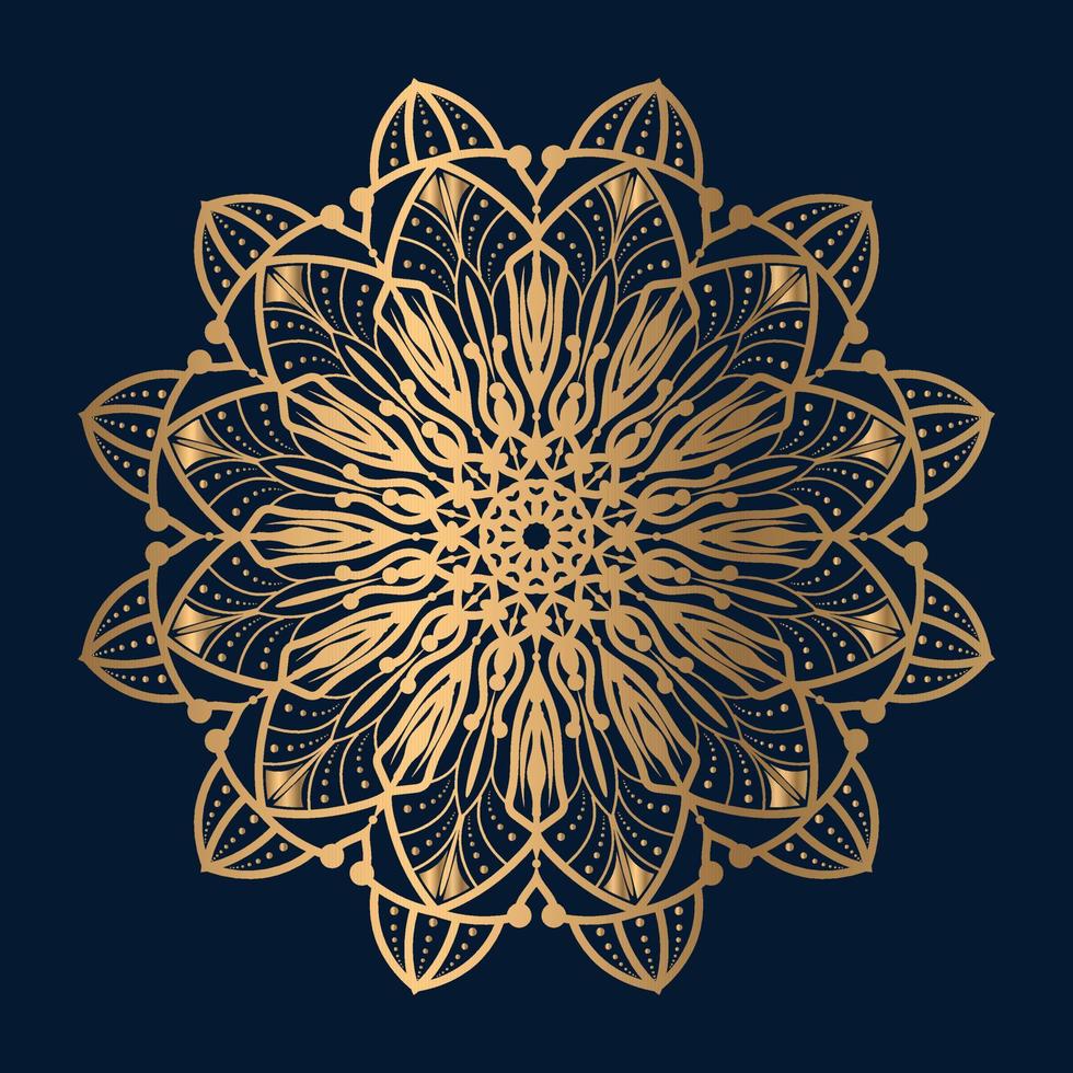 ornaments mandala design vector