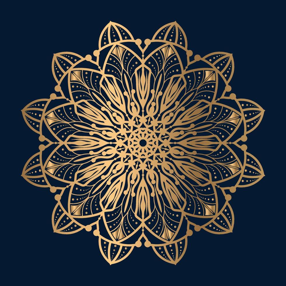 ornaments mandala design vector