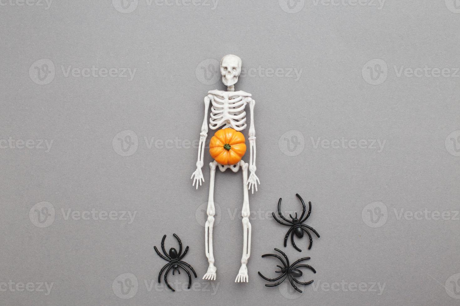 skeleton with pumpkin and black spiders on a grey background. halloween concept photo