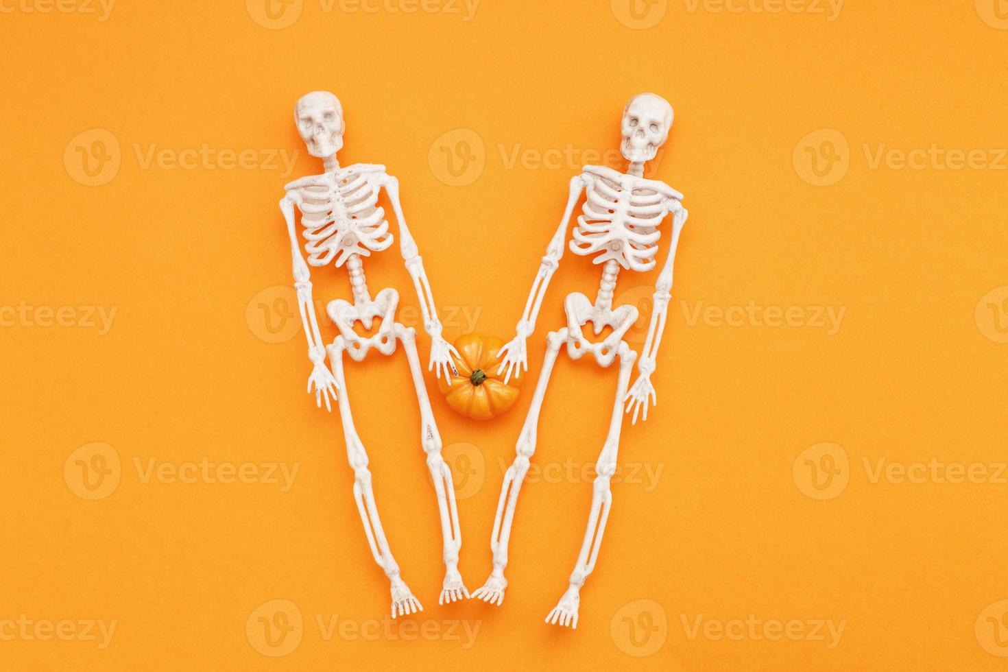skeletons with pumpkin on orange background. halloween concept photo